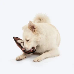 Dash Dog Squeaky Squirrel Plush Toy for Dog - Brown
