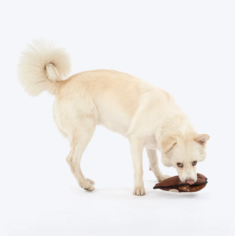 Dash Dog Squeaky Squirrel Plush Toy for Dog - Brown
