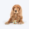 Dash Dog Toss ‘n’ Treat Ball Chew Toy For Dog - Blue & Orange - S