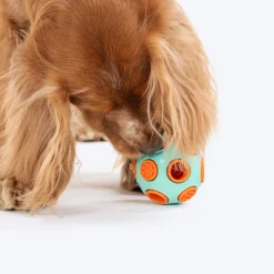 Dash Dog Toss ‘n’ Treat Ball Chew Toy For Dog - Blue & Orange - S