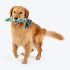 Dash Dog Toss 'n Twirl Rope Toy For Dog - Blue & Yellow