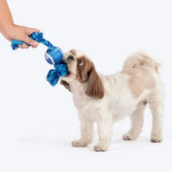 Dash Dog Toss & Tug Rope Toy For Dog - Navy Blue & Turquoise