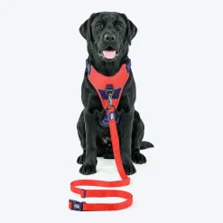 Dash Dog Trailmate Multipurpose Leash For Dog - Red