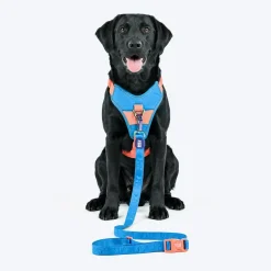 Dash Dog Trailmate Multipurpose Leash For Dog - Blue