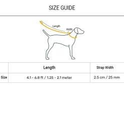 Dash Dog Trailmate Multipurpose Leash For Dog - Blue