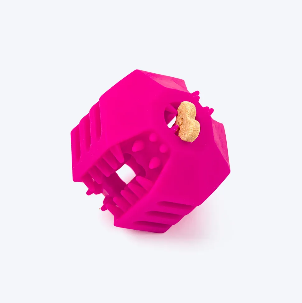 Dash Dog Treat Teaser Chew Toy For Dog - Pink