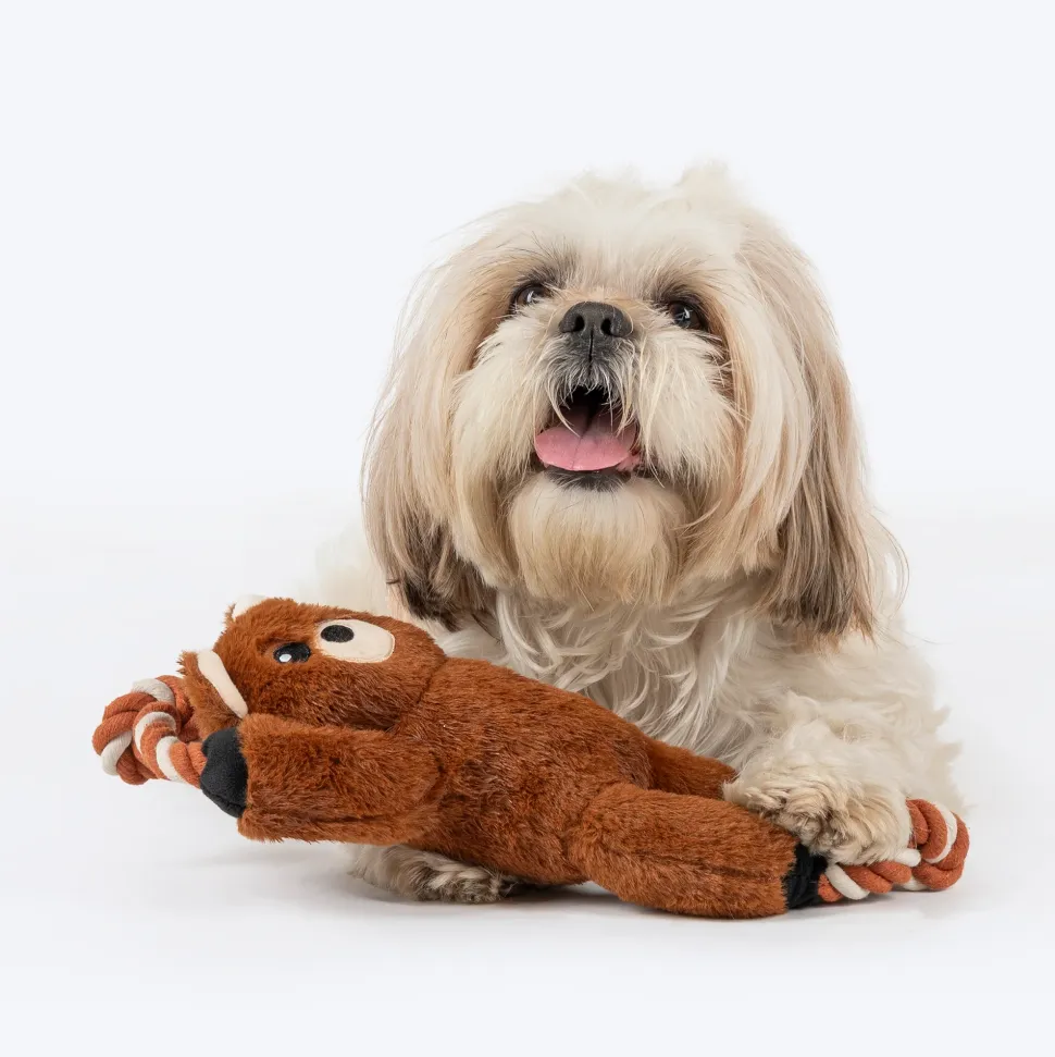 Dash Dog Tug-a-Bear Squeaky Plush Toy For Dog - Brown
