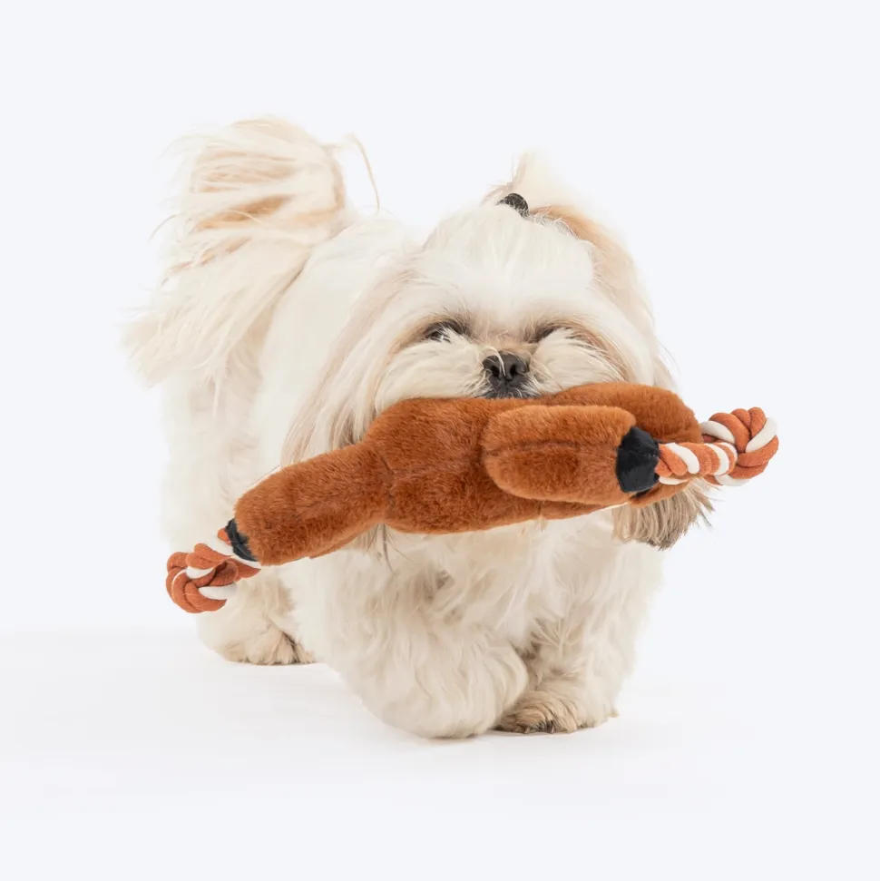 Dash Dog Tug-a-Bear Squeaky Plush Toy For Dog - Brown