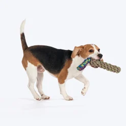 Dash Dog Tug-It-Out Bungee Rope Toy For Dog - Green