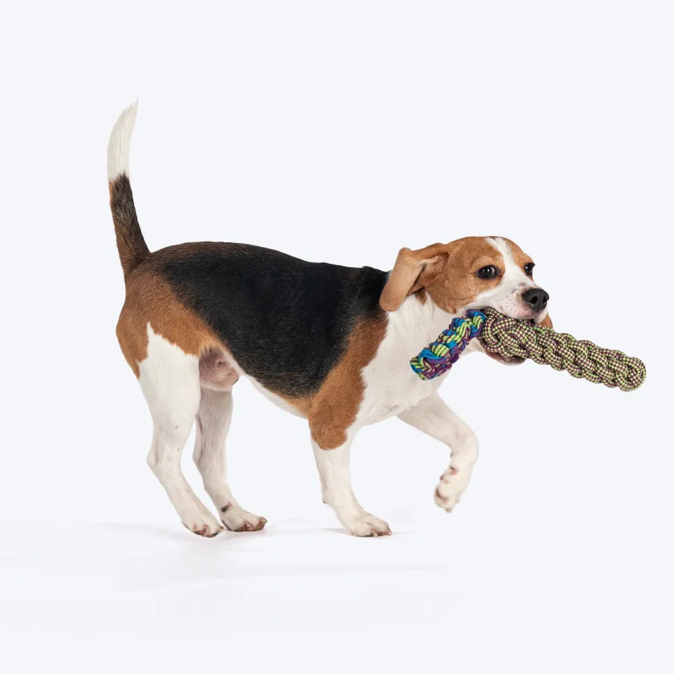 Dash Dog Tug-It-Out Bungee Rope Toy For Dog - Green
