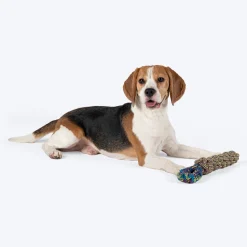 Dash Dog Tug-It-Out Bungee Rope Toy For Dog - Green