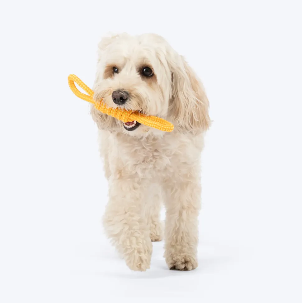 Dash Dog Tugster Rope Toy For Dog - Yellow & Orange