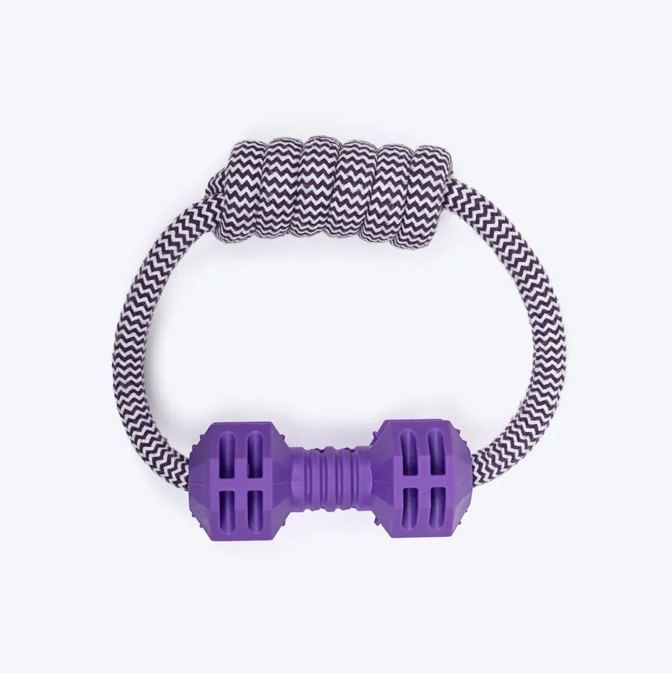 Dash Dog Twin-End Rope Toy For Dog - Purple