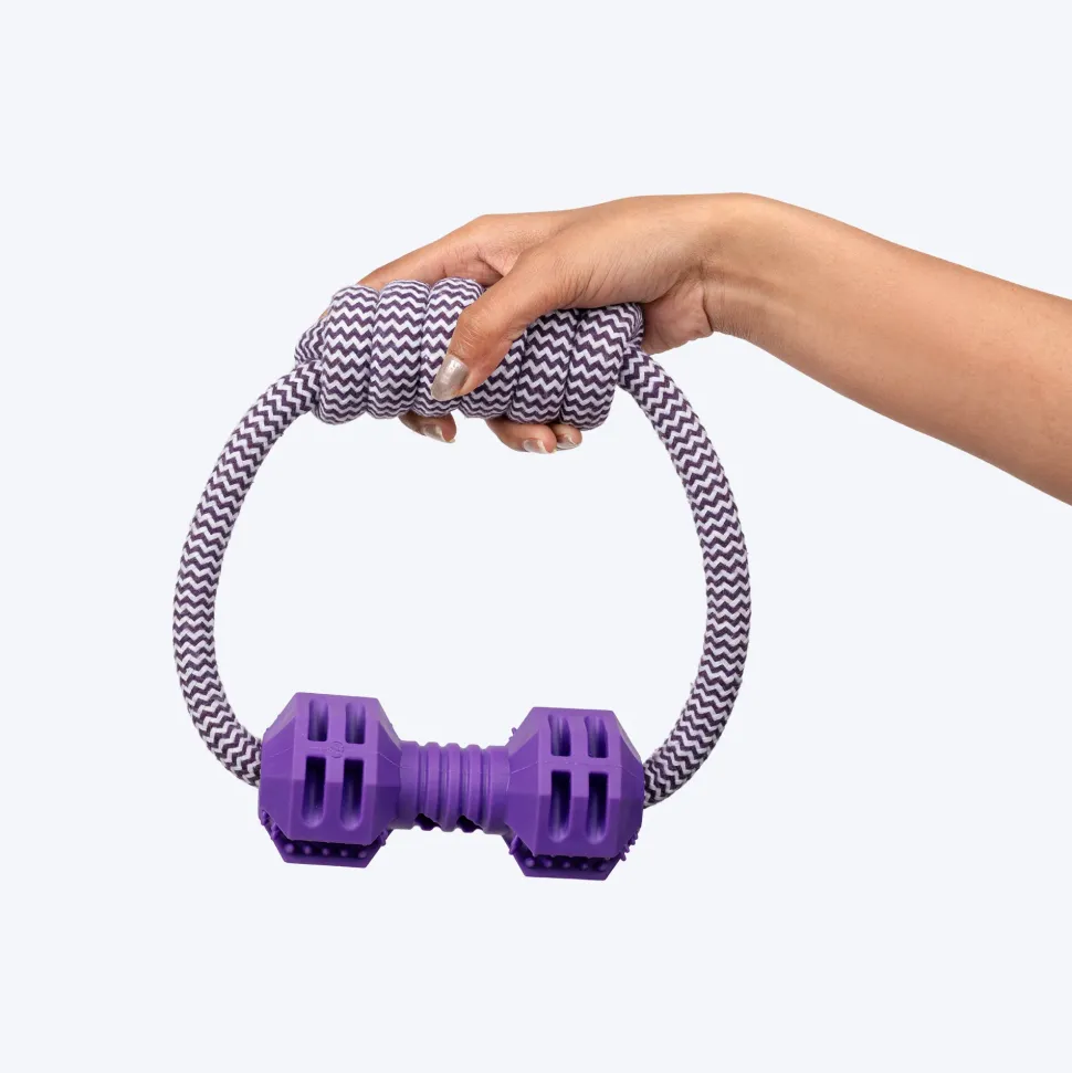 Dash Dog Twin-End Rope Toy For Dog - Purple