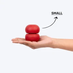 Dash Dog Twist 'n' Chew Toy For Dog - Red