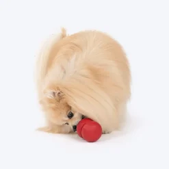 Dash Dog Twist 'n' Chew Toy For Dog - Red