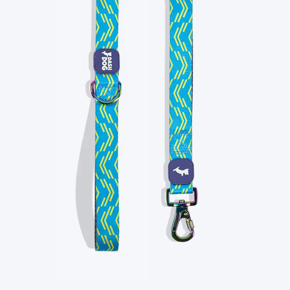 Dash Dog Vector Dual Handle Leash For Dog - Aqua Blue