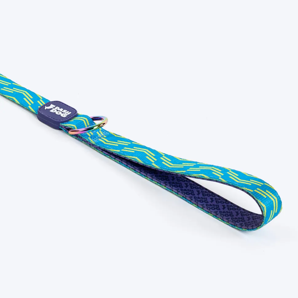Dash Dog Vector Dual Handle Leash For Dog - Aqua Blue