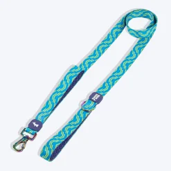 Dash Dog Vector Dual Handle Leash For Dog - Aqua Blue