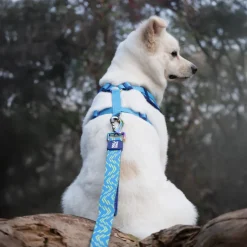 Dash Dog Vector Dual Handle Leash For Dog - Aqua Blue