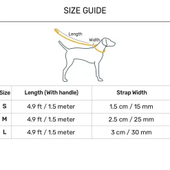 Dash Dog Vector Dual Handle Leash For Dog - Aqua Blue