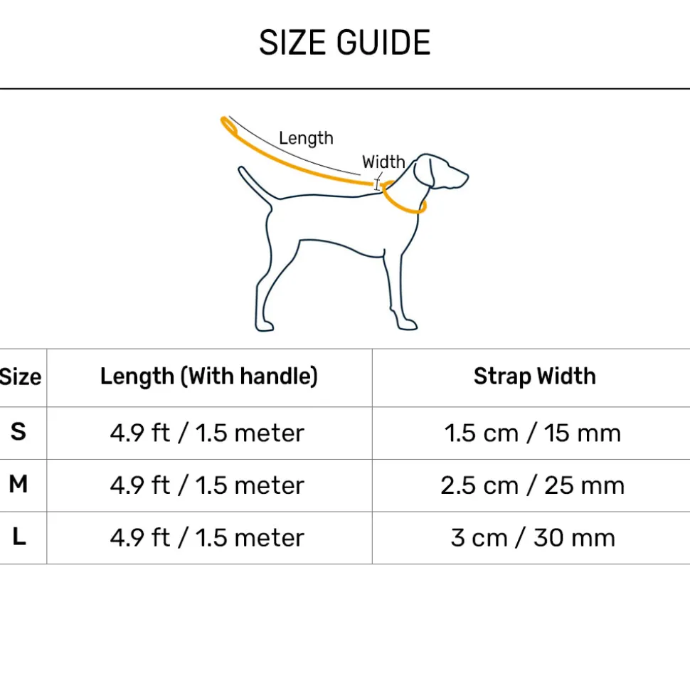 Dash Dog Vector Dual Handle Leash For Dog - Aqua Blue