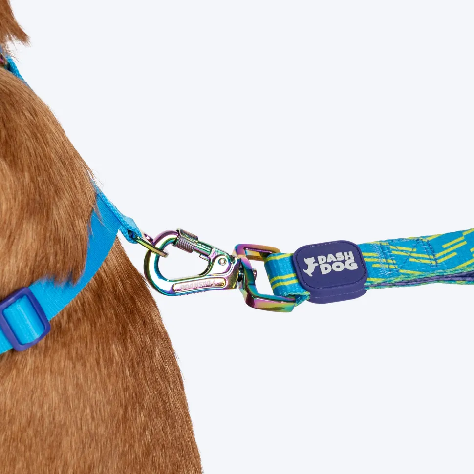Dash Dog Vector Dual Handle Leash For Dog - Aqua Blue