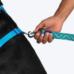 Dash Dog Vector Easy Walk Harness For Dog - Aqua Blue