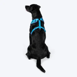 Dash Dog Vector Easy Walk Harness For Dog - Aqua Blue