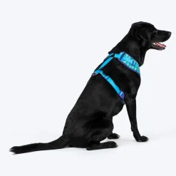Dash Dog Vector Easy Walk Harness For Dog - Aqua Blue