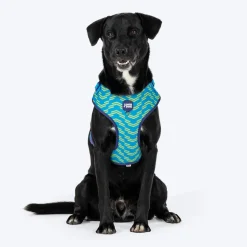 Dash Dog Vector Easy Walk Harness For Dog - Aqua Blue