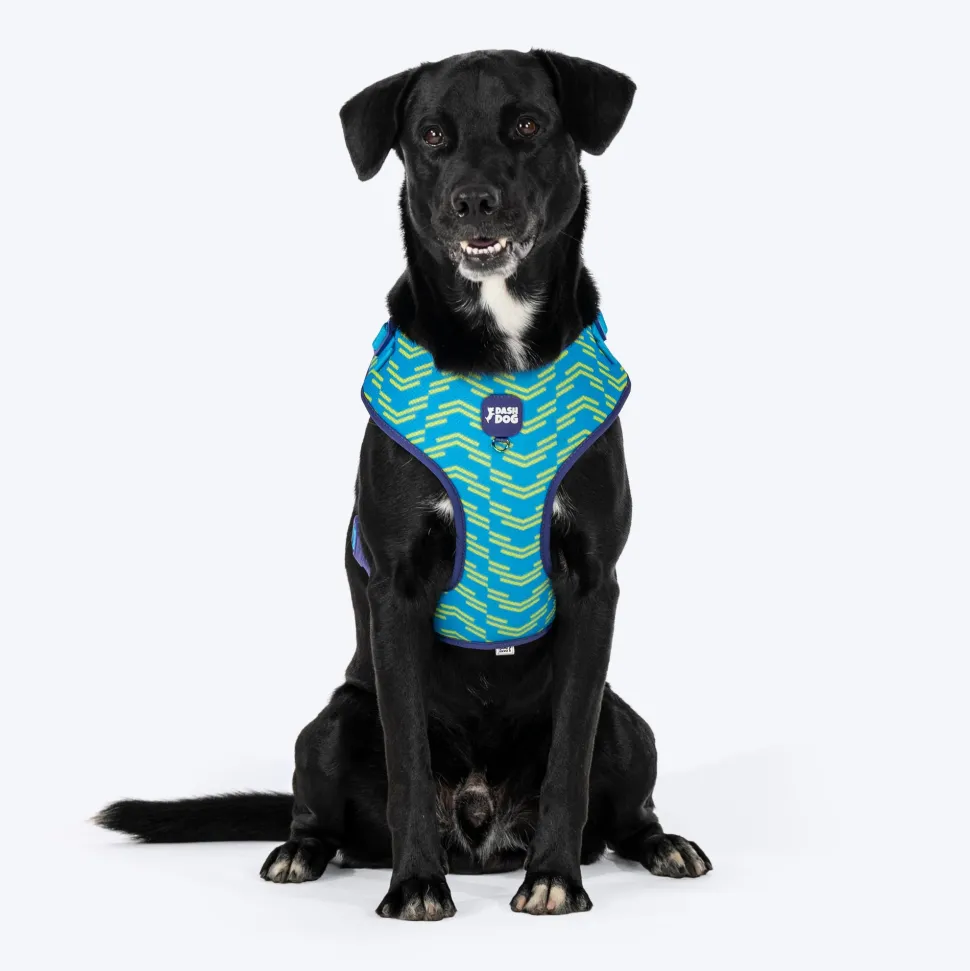 Dash Dog Vector Easy Walk Harness For Dog - Aqua Blue