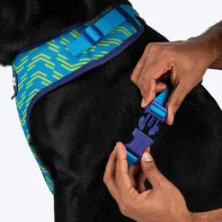 Dash Dog Vector Easy Walk Harness For Dog - Aqua Blue