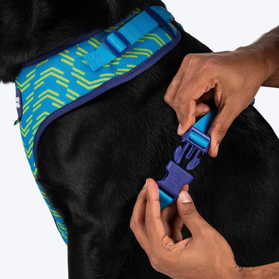 Dash Dog Vector Easy Walk Harness For Dog - Aqua Blue