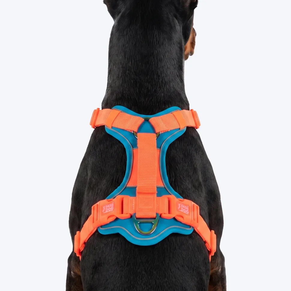 Dash Dog Walk Pro Harness For Dog - Blue & Orange
