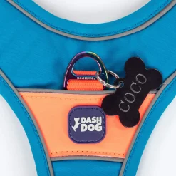 Dash Dog Walk Pro Harness For Dog - Blue & Orange