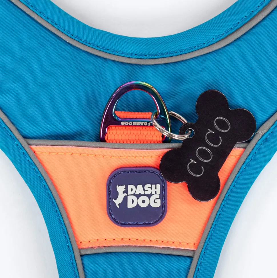 Dash Dog Walk Pro Harness For Dog - Blue & Orange