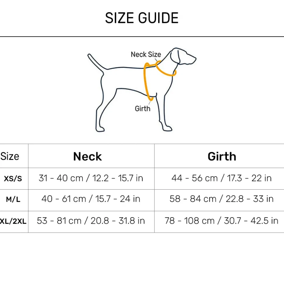 Dash Dog Walk Pro Harness For Dog - Blue & Orange