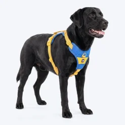 Dash Dog Walk Pro Harness For Dog - Royal Blue & Yellow