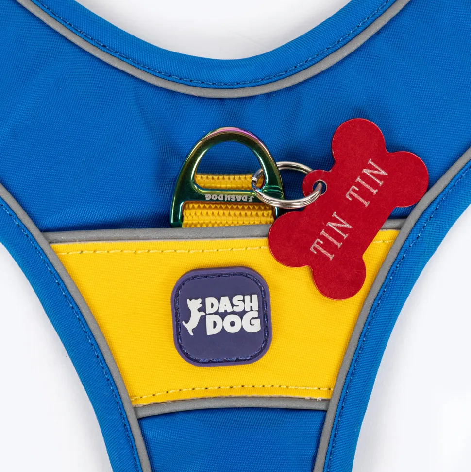 Dash Dog Walk Pro Harness For Dog - Royal Blue & Yellow