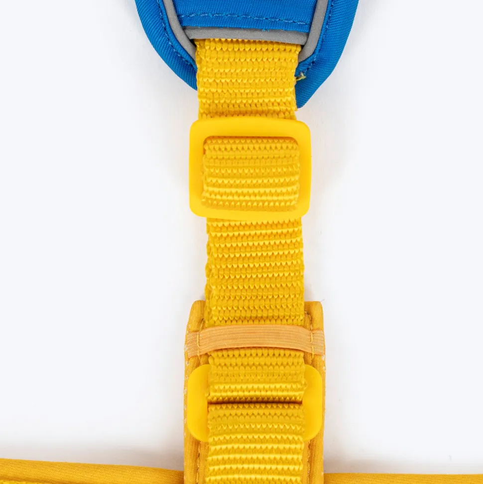Dash Dog Walk Pro Harness For Dog - Royal Blue & Yellow