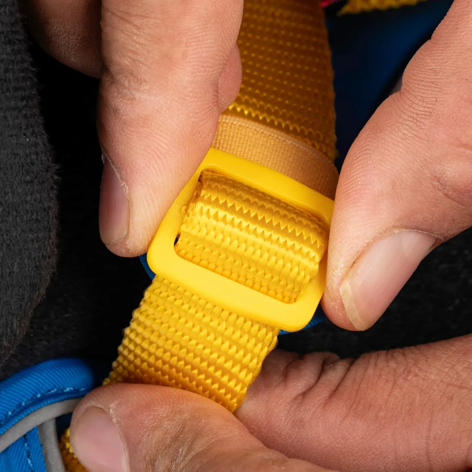 Dash Dog Walk Pro Harness For Dog - Royal Blue & Yellow