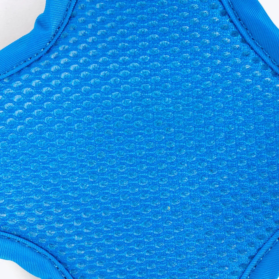 Dash Dog Walk Pro Harness For Dog - Royal Blue & Yellow