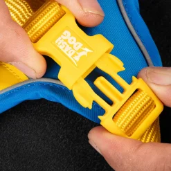 Dash Dog Walk Pro Harness For Dog - Royal Blue & Yellow