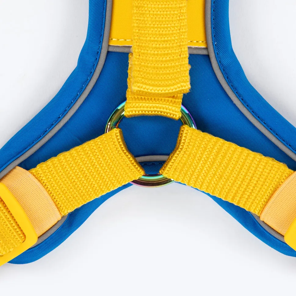 Dash Dog Walk Pro Harness For Dog - Royal Blue & Yellow