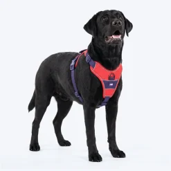 Dash Dog Walk Pro Harness For Dog - Red & Purple