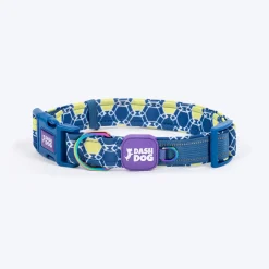 Dash Dog Wildcrest Padded Collar For Dog - Blue & Neon Green