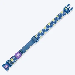Dash Dog Wildcrest Padded Collar For Dog - Blue & Neon Green