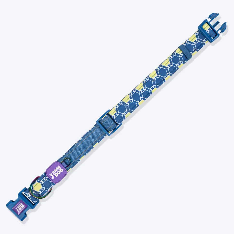 Dash Dog Wildcrest Padded Collar For Dog - Blue & Neon Green