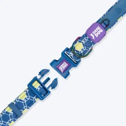 Dash Dog Wildcrest Padded Collar For Dog - Blue & Neon Green